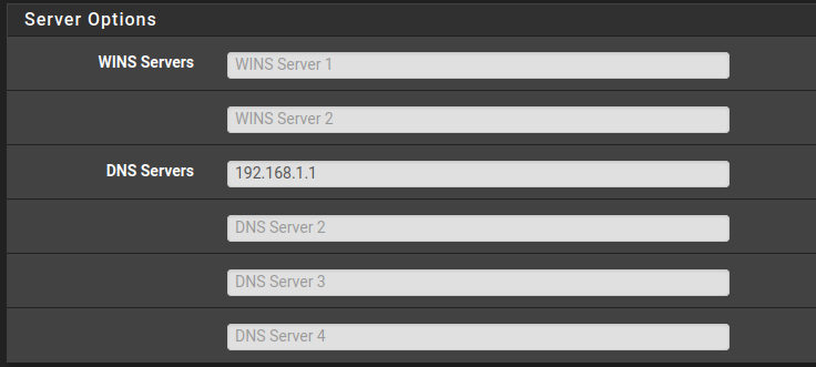 pfSense DNS